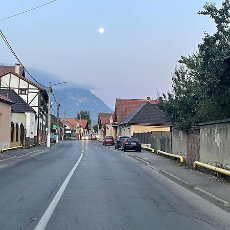 Zărneşti Casa Nicoladis 아파트 외부 사진