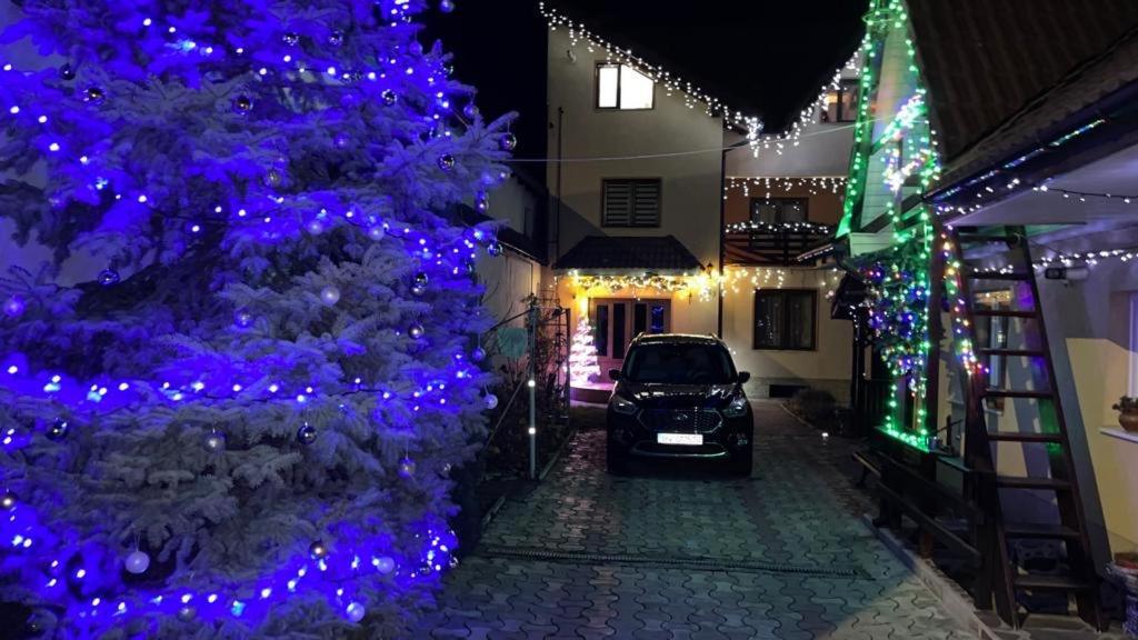 Zărneşti Casa Nicoladis 아파트 외부 사진
