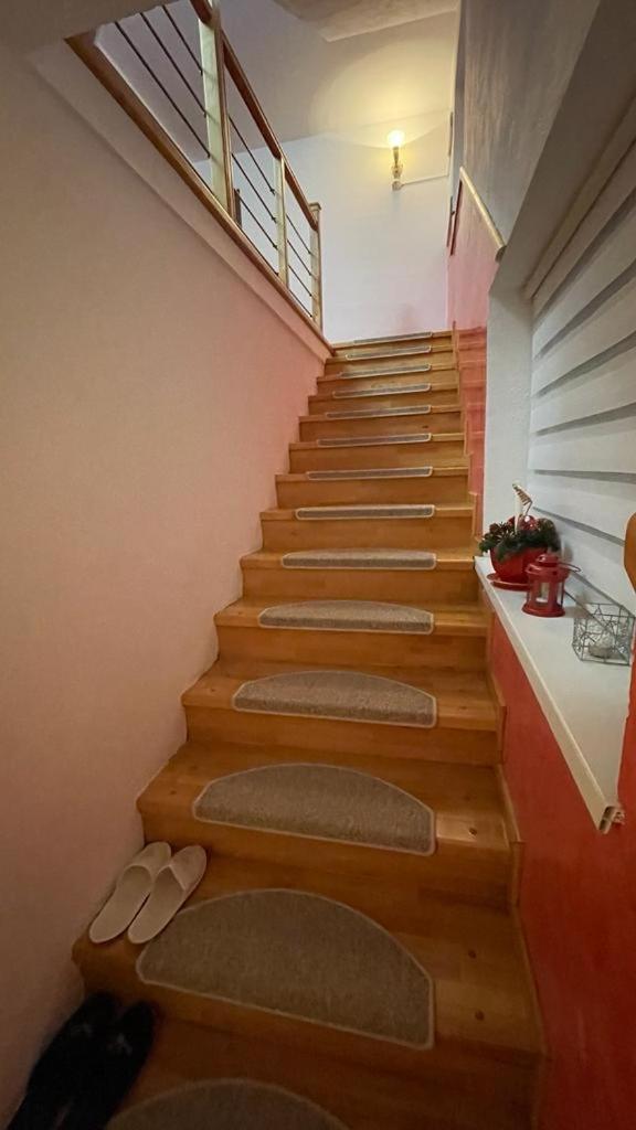 Zărneşti Casa Nicoladis 아파트 외부 사진