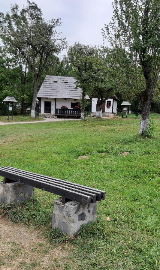 Zărneşti Casa Nicoladis 아파트 외부 사진